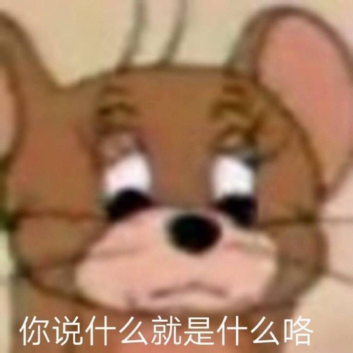 你说什么就是什么喽