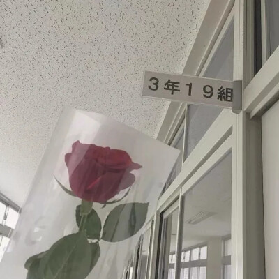 背景图·你是如清泉般清澈的少年