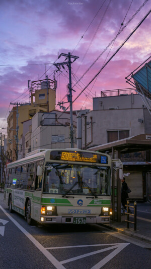 夕阳壁纸