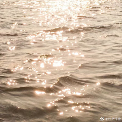 MER