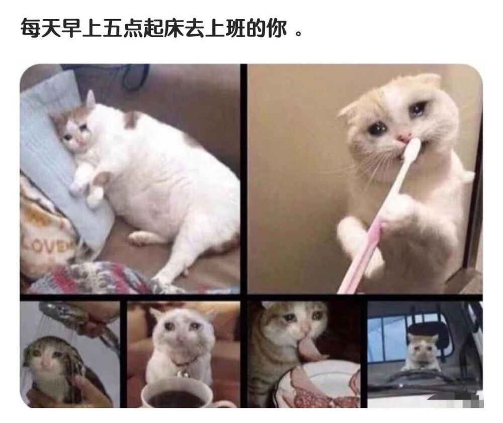 搞笑图片