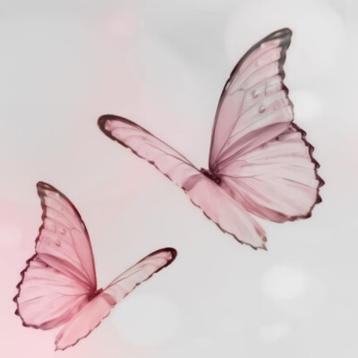  * butterfly 