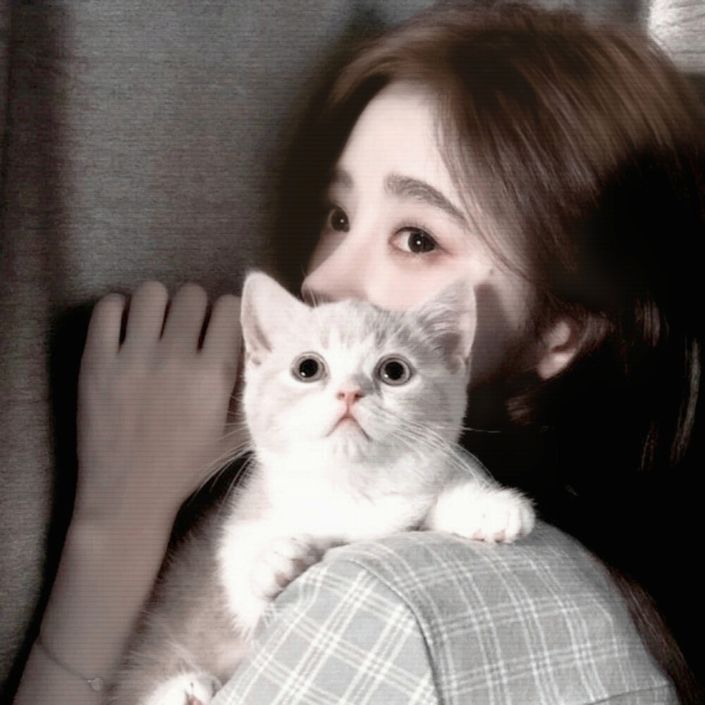 
#斯莱特林是最好的选择。