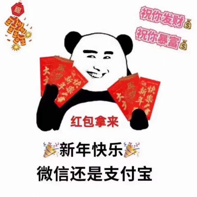 新年快乐，微信还是支付宝