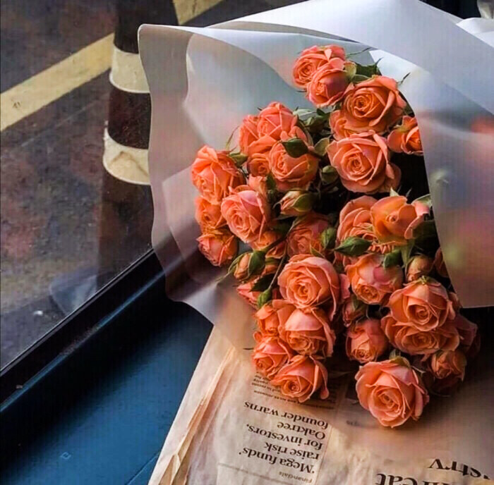 ·You are the bright star of the orange sky in the sunset.
· 你是落日弥漫的橘 天边透亮的星.
原/左也.