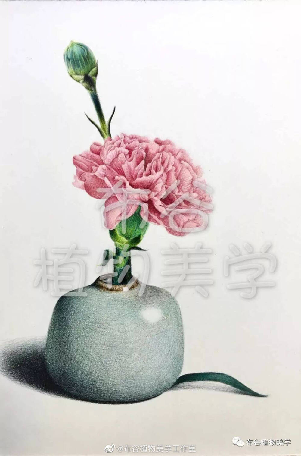 布谷鸟