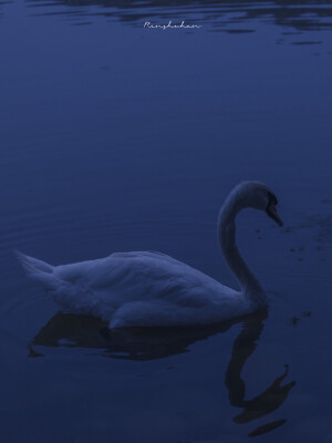 你要爱上荒野的风声

©️任舒寒