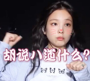 jennie表情包