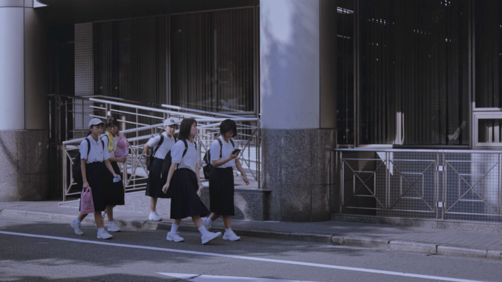 背景 陈清野