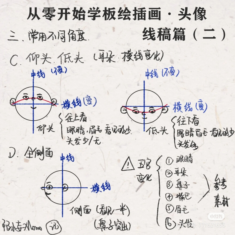 转自小红书，漫画头部透视解析