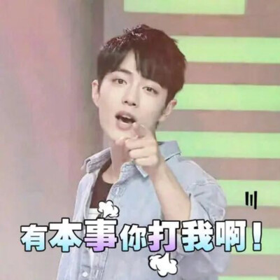 肖战 表情包
