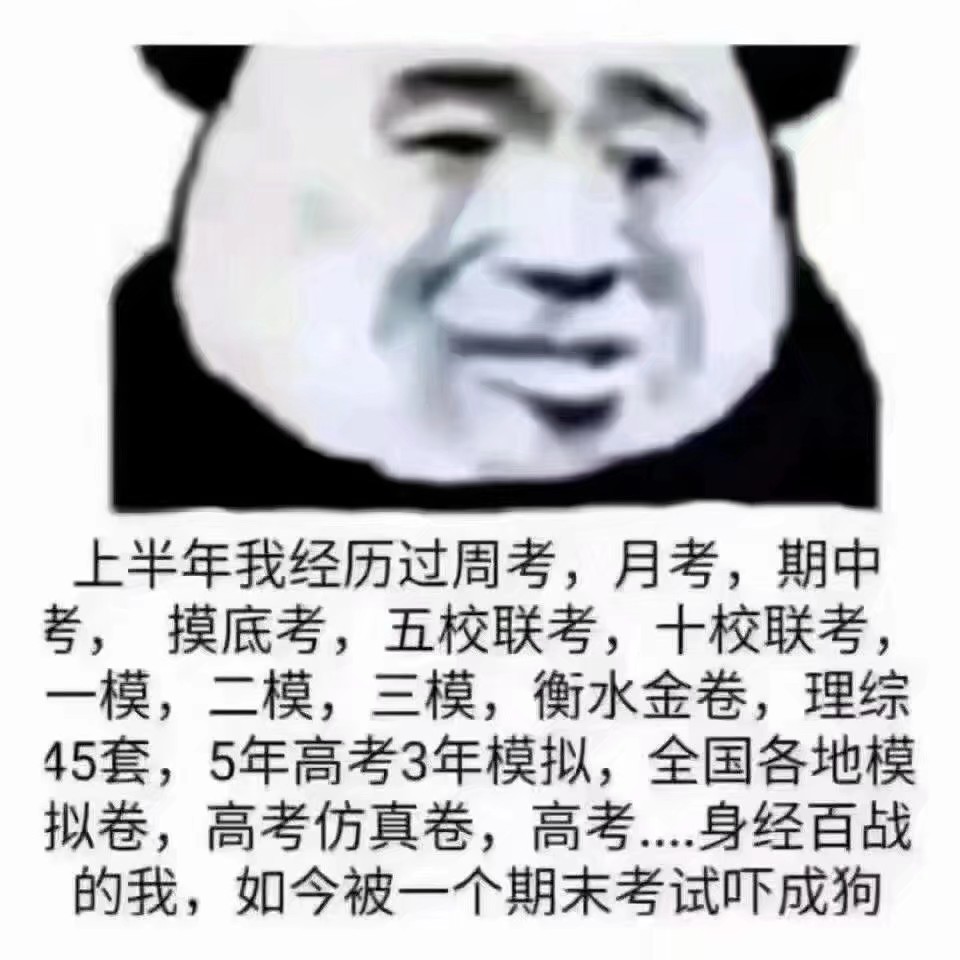 美术生表情包