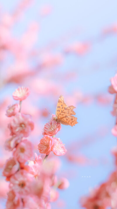  「开始期待春暖花开时分」
