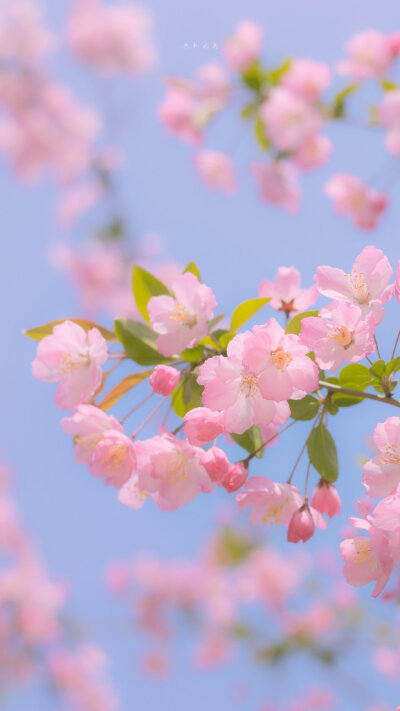  「开始期待春暖花开时分」
