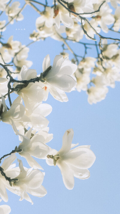  「开始期待春暖花开时分」
