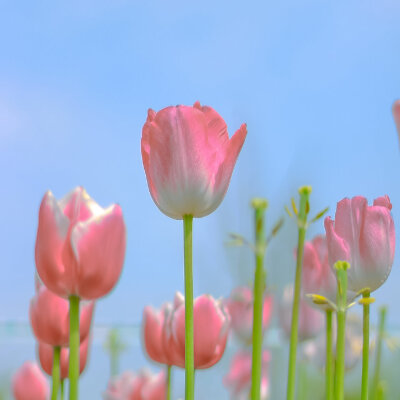  「开始期待春暖花开时分」
