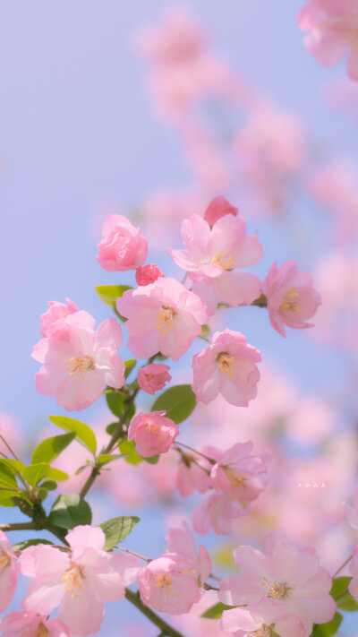  「开始期待春暖花开时分」
