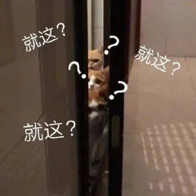 表情包