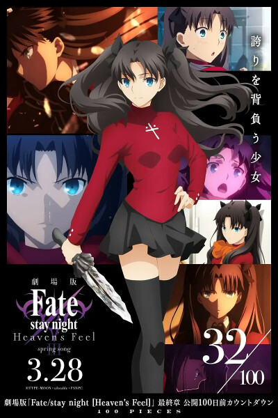 fate stay night/HF