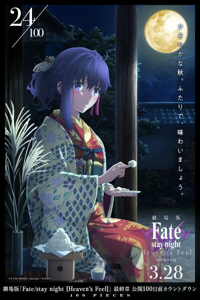 fate stay night/HF