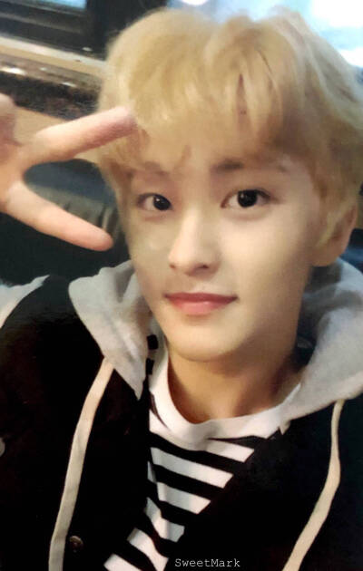 MARK LEE