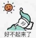 杂的表情包