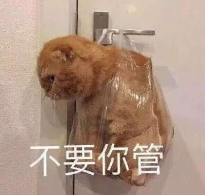 杂的表情包