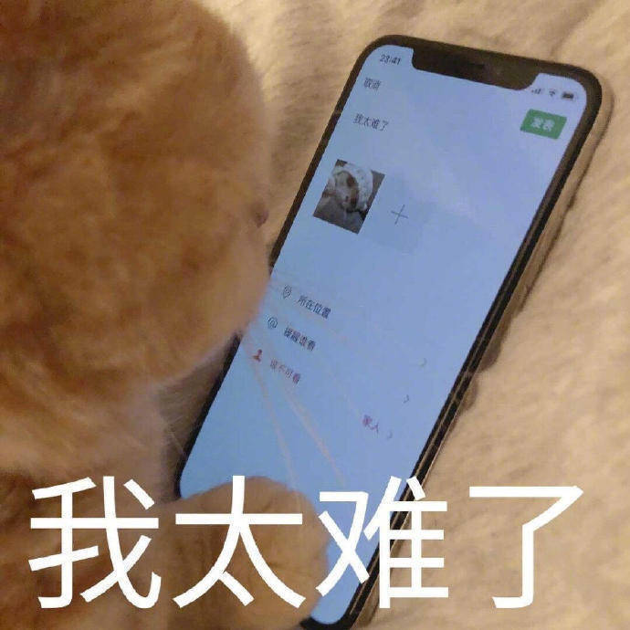 表情包