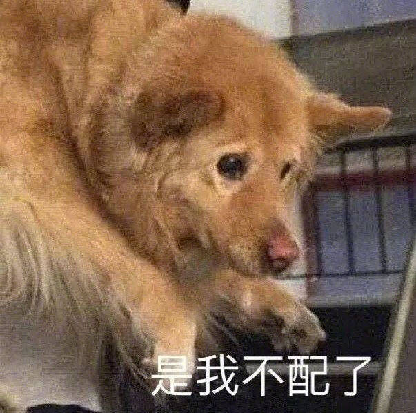 表情包