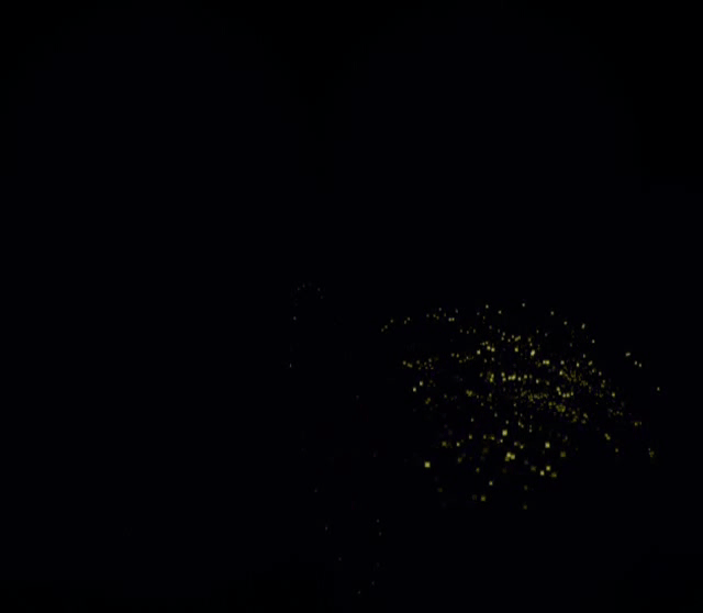 BKPP
<表情包>
嗑CP专用烟花
图源：微博@六月遛月亮