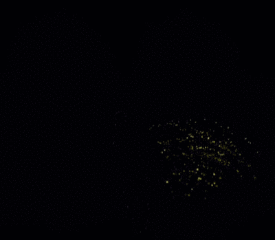 BKPP
<表情包>
嗑CP专用烟花
图源：微博@六月遛月亮