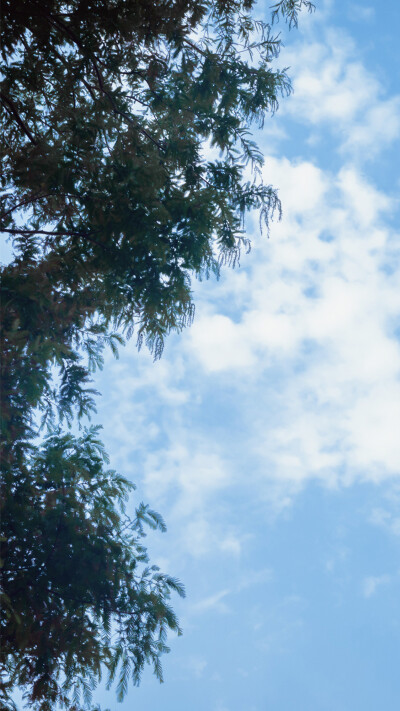 肖战生日 2020.10.05