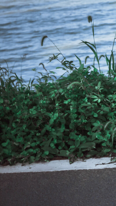 肖战生日 2020.10.05