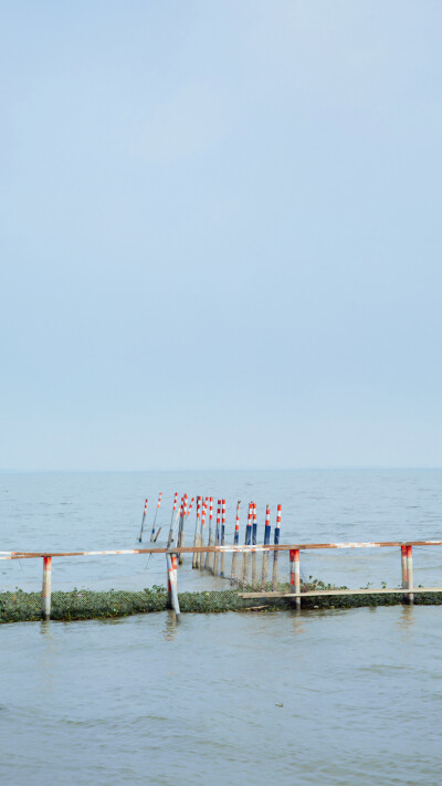 肖战生日 2020.10.05