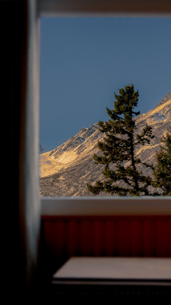 壁纸
街景
头像
背景
美图