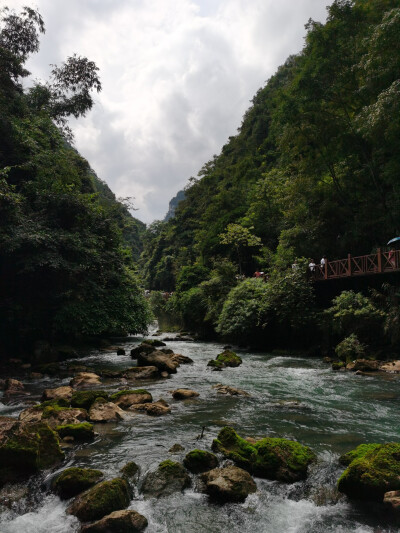 疑泻银河一派