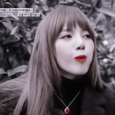 -Lisa•金智秀