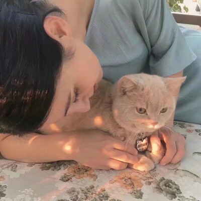 猫猫 女生 头像