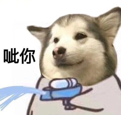 表情包，过年