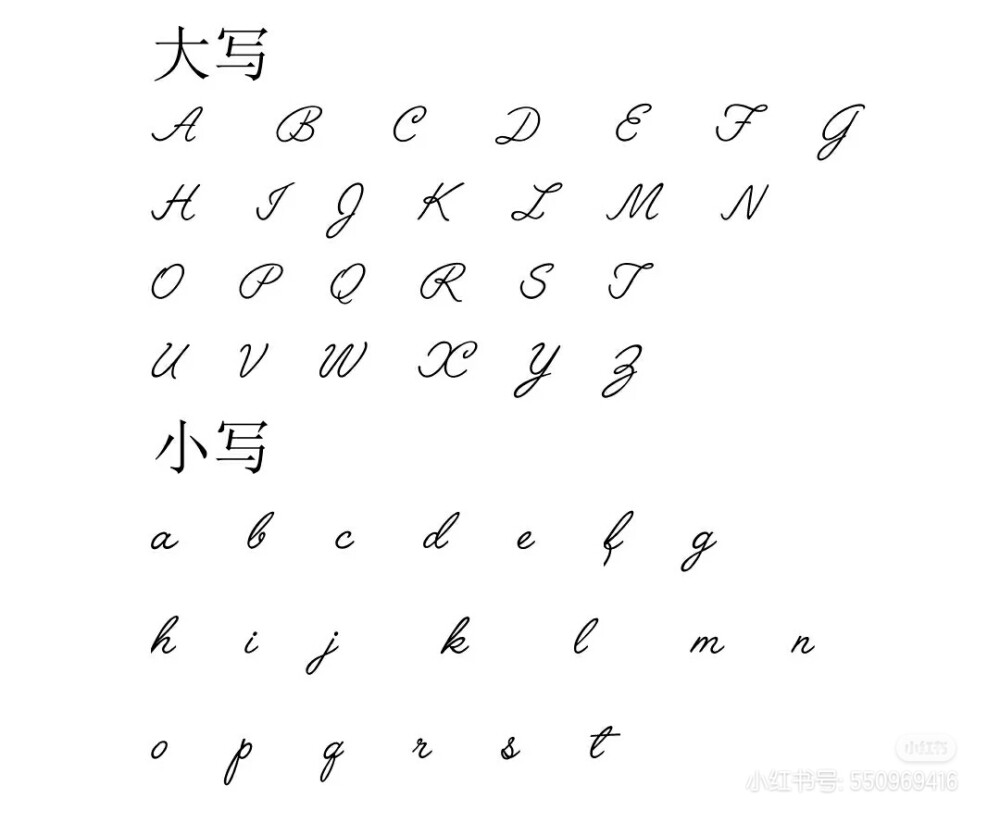 字体