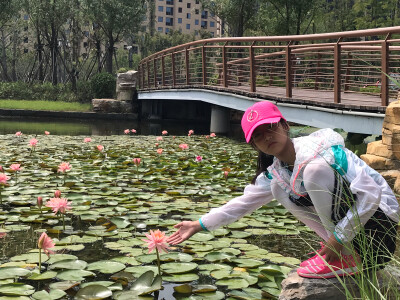 宇宙太阳系地球中国盐城射阳千湖湖公园