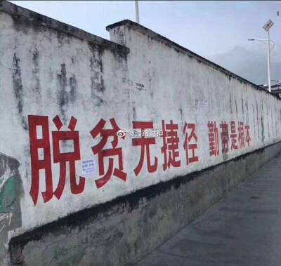 背景/壁纸/头像