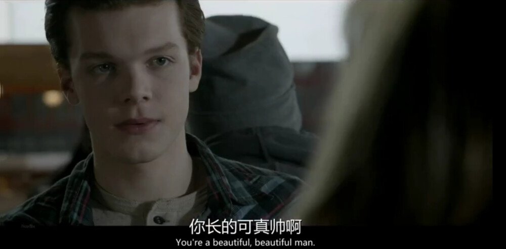 无耻之徒/shameless