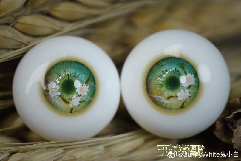 眼球