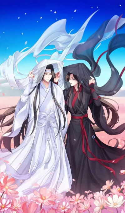 魔道祖师／魏无羡／蓝忘机