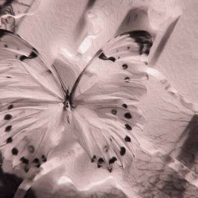 
驯服你。
©MINToYou_1013
禁三改
