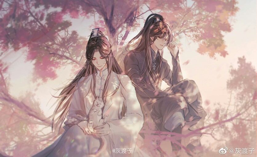 《二哈和他的白猫师尊》