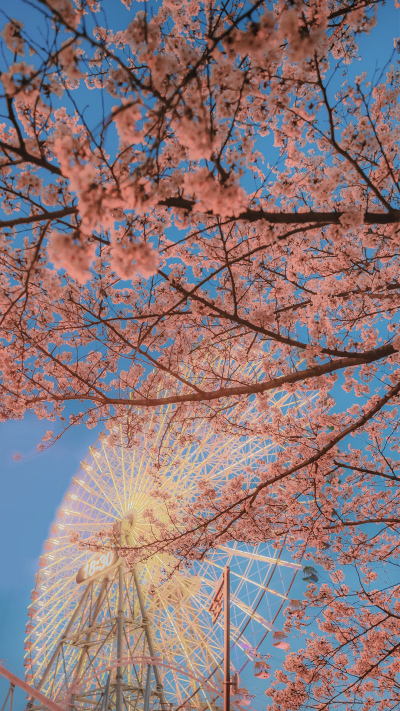 手机壁纸 风景壁纸 壁纸