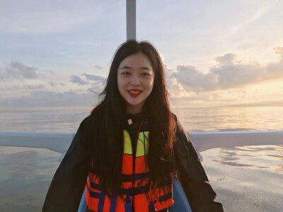 sulli
