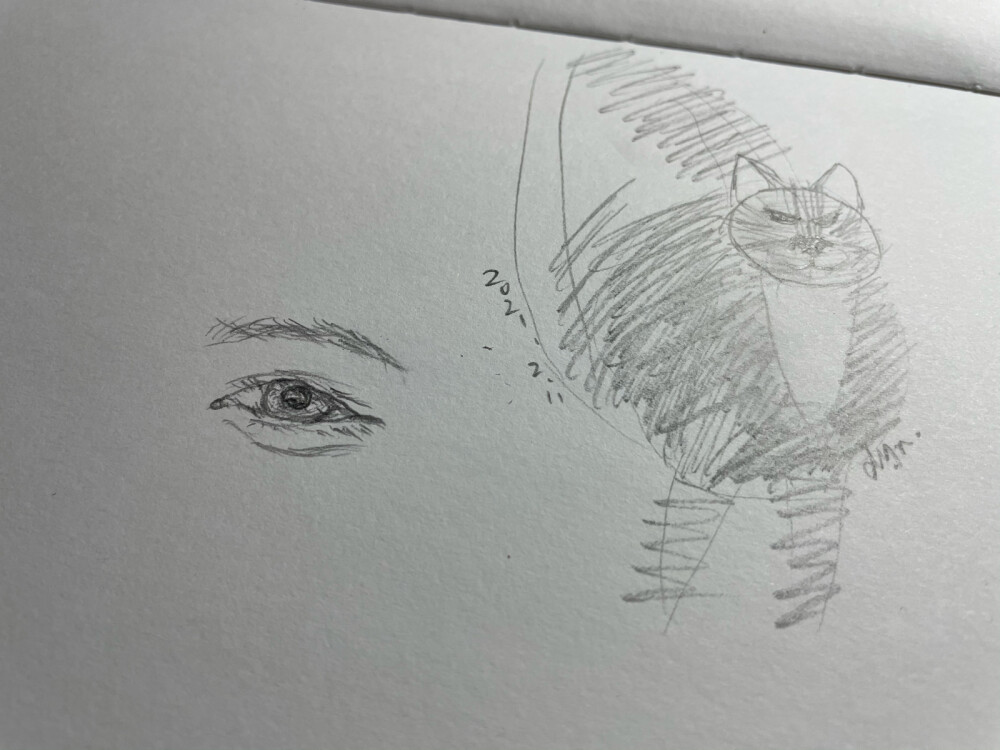 换手机后 没能好好拍照